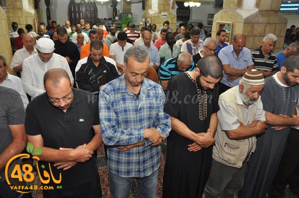 7san bek jsh (5).JPG